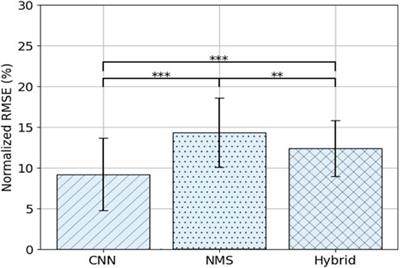 Multi-Day EMG-Based Knee Joint Torque Estimation Using Hybrid Neuromusculoskeletal Modelling and Convolutional Neural Networks
